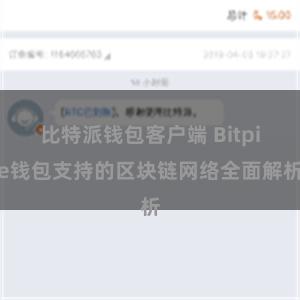 比特派钱包客户端 Bitpie钱包支持的区块链网络全面解析