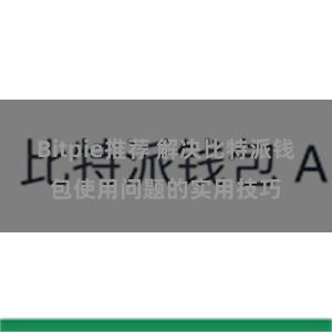 Bitpie推荐 解决比特派钱包使用问题的实用技巧