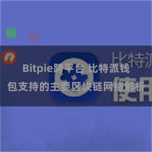 Bitpie跨平台 比特派钱包支持的主要区块链网络解析