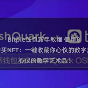 Bitpie钱包新手教程 使用Bitpie购买NFT：一键收藏你心仪的数字艺术品！