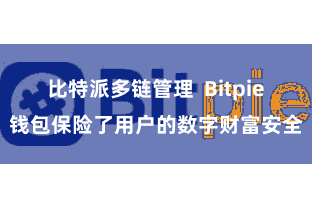 比特派多链管理  Bitpie钱包保险了用户的数字财富安全