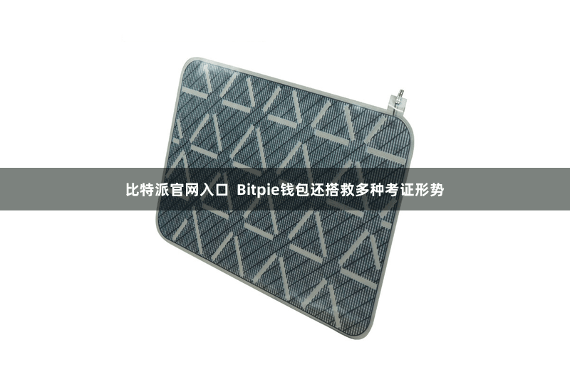 比特派官网入口  Bitpie钱包还搭救多种考证形势