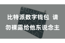 比特派数字钱包  请勿裸露给他东说念主