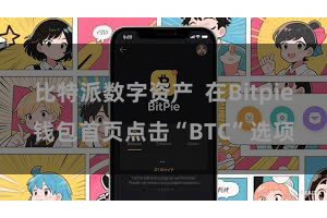 比特派数字资产  在Bitpie钱包首页点击“BTC”选项