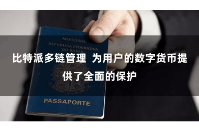 比特派多链管理  为用户的数字货币提供了全面的保护